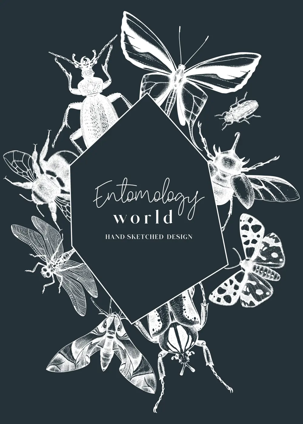 Hand-sketched insect wreath template on chalkboard. Hand drawn beetles, bugs, butterflies, dragonfly, cicada, bee illustrations in vintage style. Entomological frame design with insects outlines Illustration